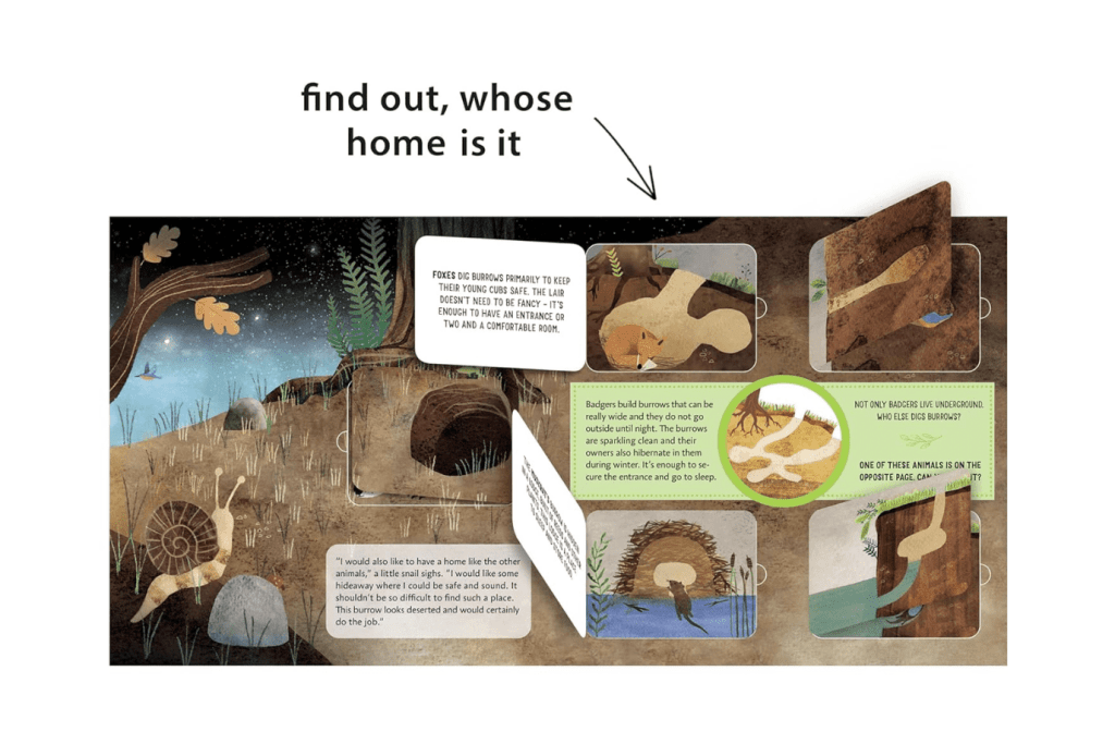 Whose Home Is It? [Board Book]