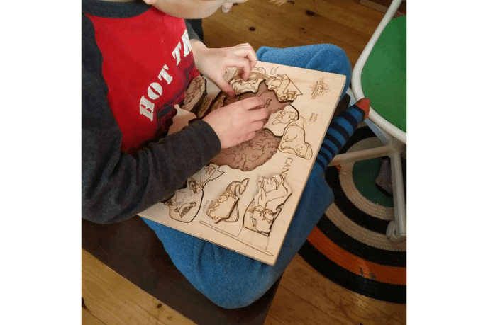 wooden puzzle, map of Canada puzzle, Canadian animals puzzle, Toy Makers of Lunenberg, Toy Makers of Lunenburg puzzle, Made in Canada, Made in Canada puzzle, wooden puzzle made in Canada